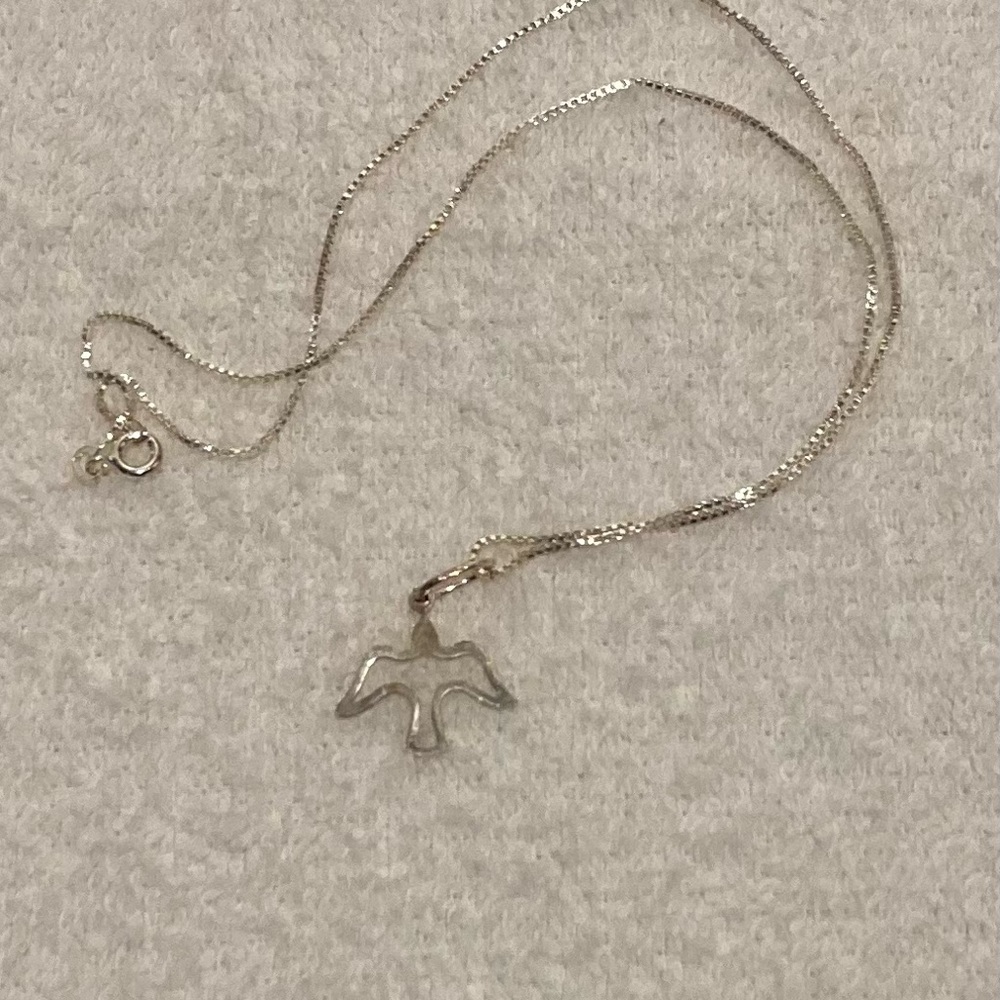 NWOT Silver necklace with dove charm